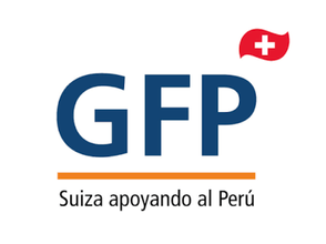 Programa GFP Subnacional