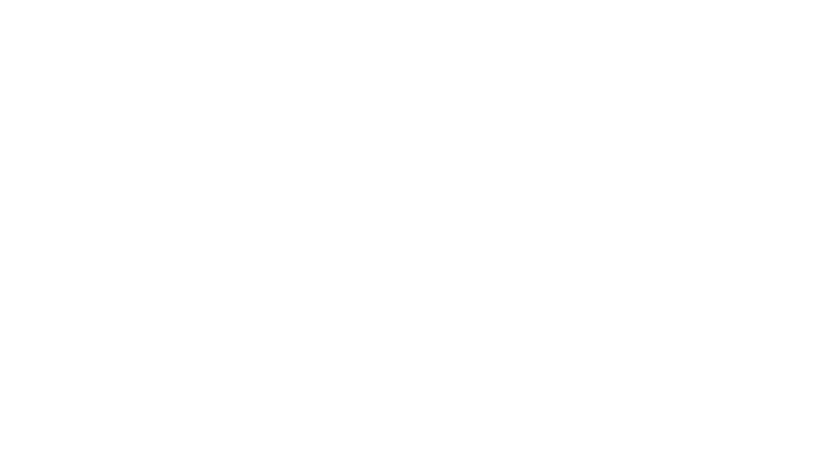 STMI Institute Logo